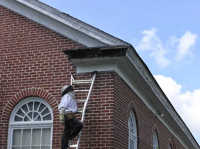 Bee Busters Picture 8
