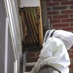 Bee Busters