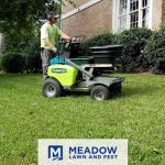 Meadow Lawn & Pest