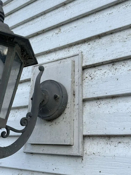 Insight Pest Solutions - Toledo Picture 3