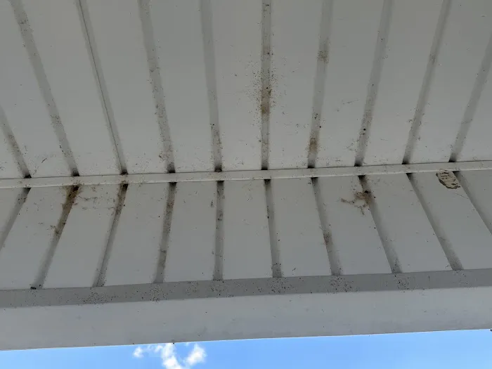 Insight Pest Solutions - Toledo Picture 1