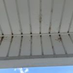 Insight Pest Solutions - Toledo
