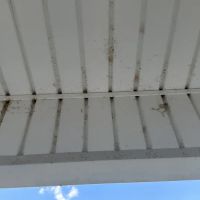 Insight Pest Solutions - Toledo ico