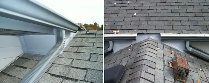 Critter Control of Toledo Picture 1