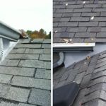 Critter Control of Toledo
