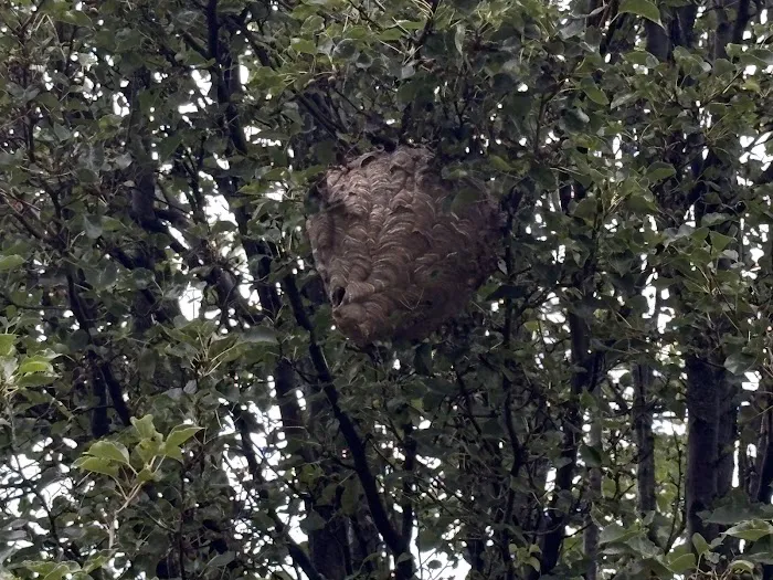 Frame's Pest Control, Inc. Picture 2