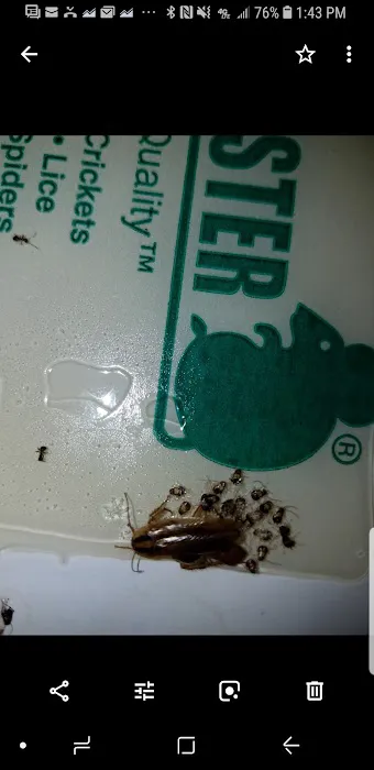 Tom's Pest Control Picture 5