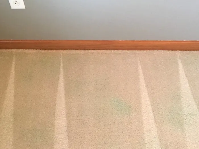 Sparkling Clean Carpet Care Picture 9