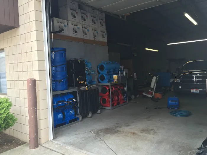 Sparkling Clean Carpet Care Picture 2
