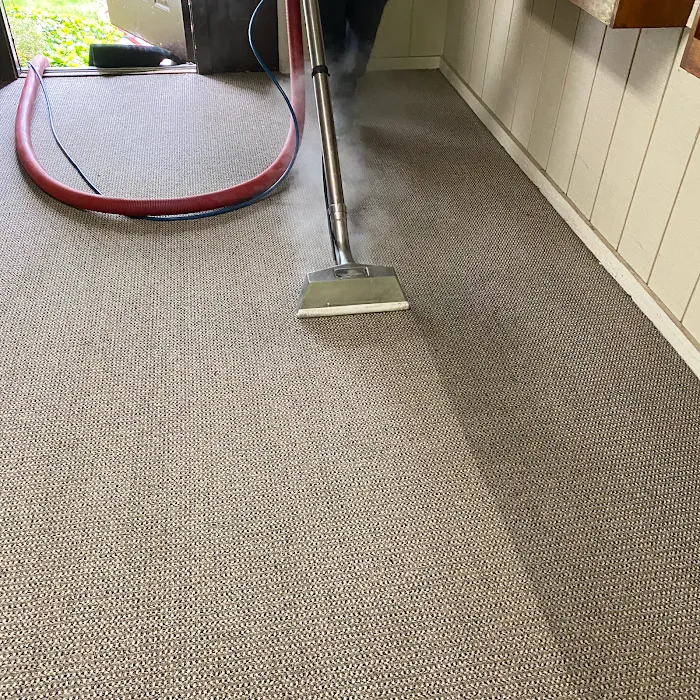 Sparkling Clean Carpet Care Picture 3