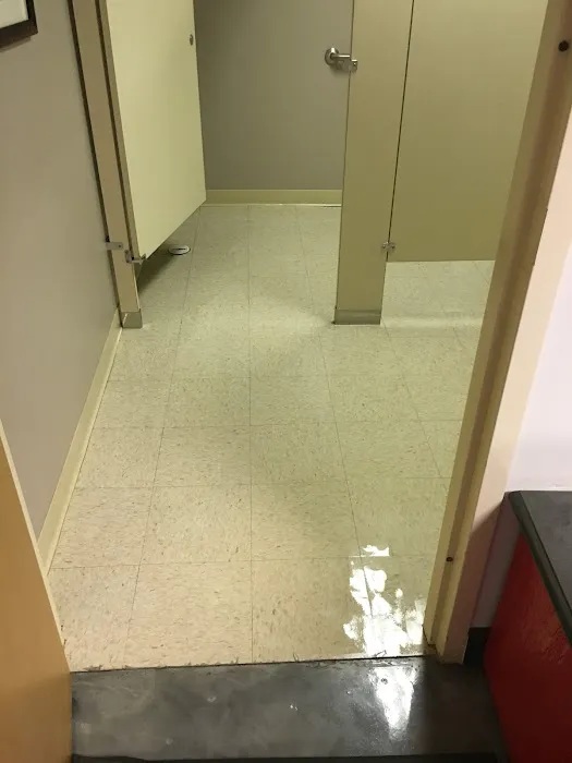Sparkling Clean Carpet Care Picture 10
