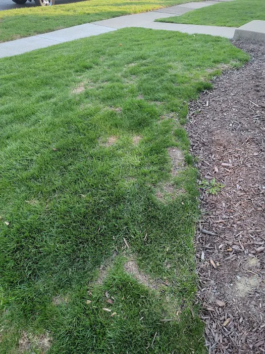 Grounds Services, Inc. Picture 9