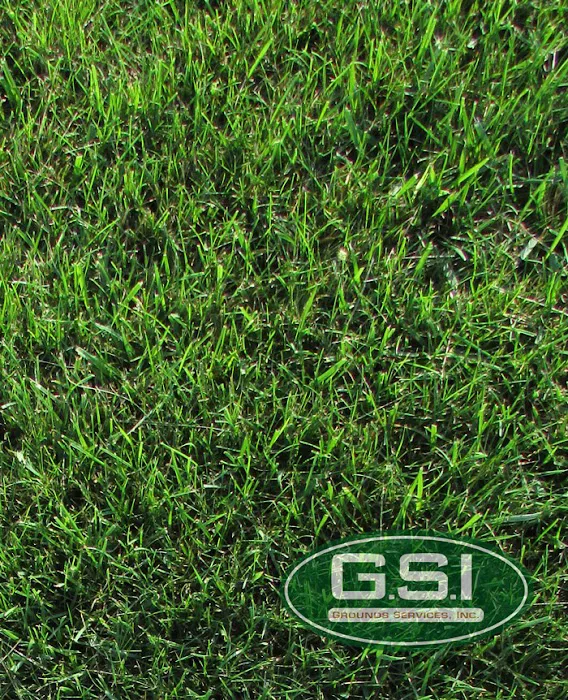Grounds Services, Inc. Picture 10