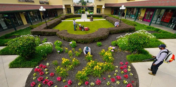 U.S. Lawns - Toledo Picture 9