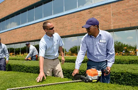 U.S. Lawns - Toledo Picture 5