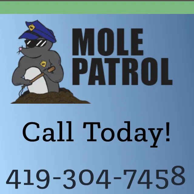 Mole Patrol Picture 1