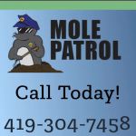 Mole Patrol
