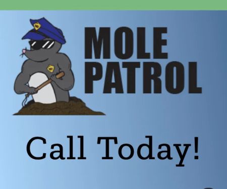 Mole Patrol