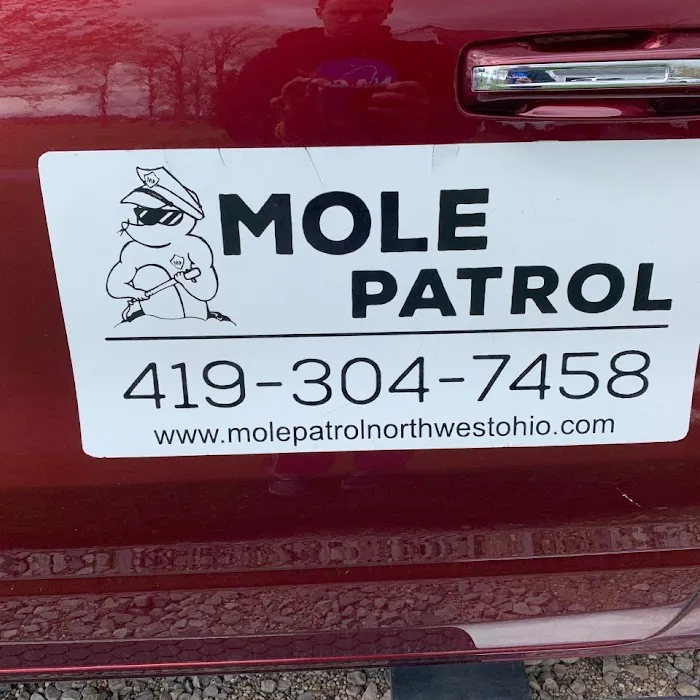 Mole Patrol Picture 3
