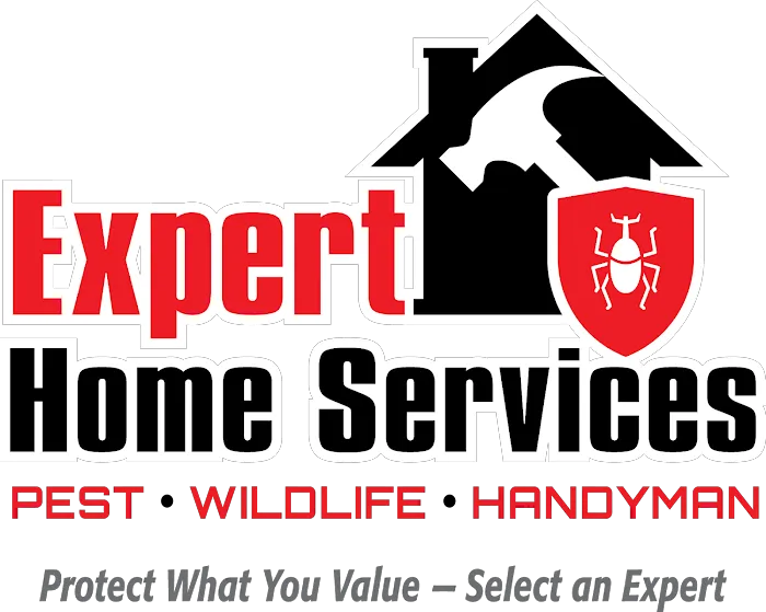 Expert Home and Commercial Services Picture 1
