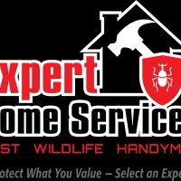 Expert Home and Commercial Services ico