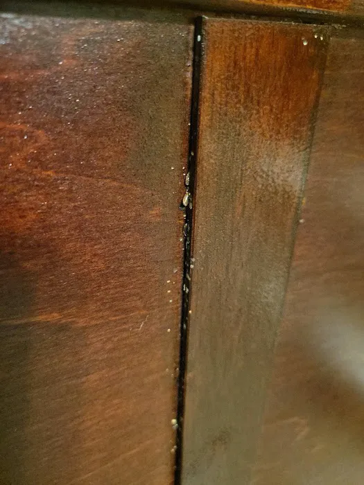 Precision Pest Solutions Picture 8