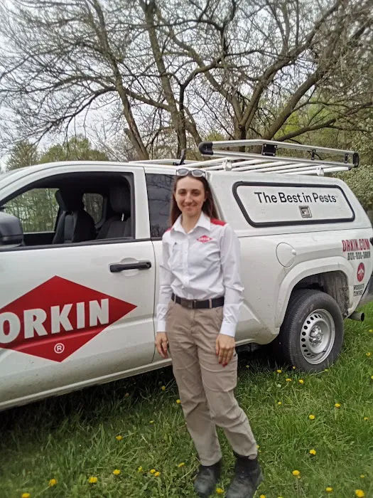 Orkin Picture 4