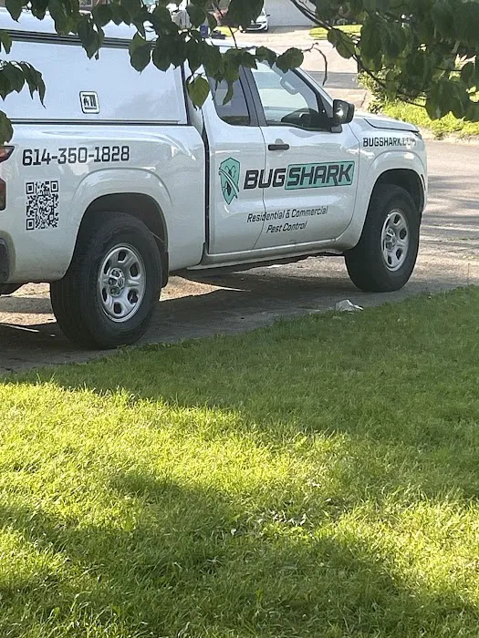 Bug Shark Columbus Picture 7
