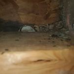 Ecofive Pest Control LLC