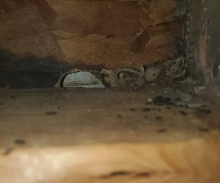 Ecofive Pest Control LLC