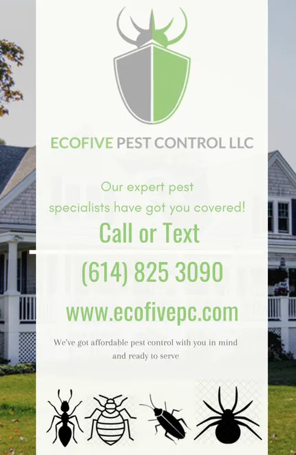 Ecofive Pest Control LLC Picture 8