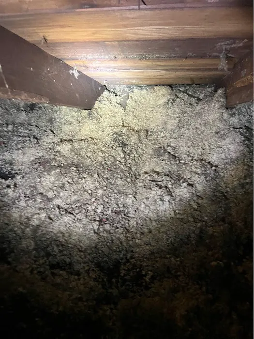 Ultimate Pro Wildlife Removal LLC Columbus Ohio Picture 6