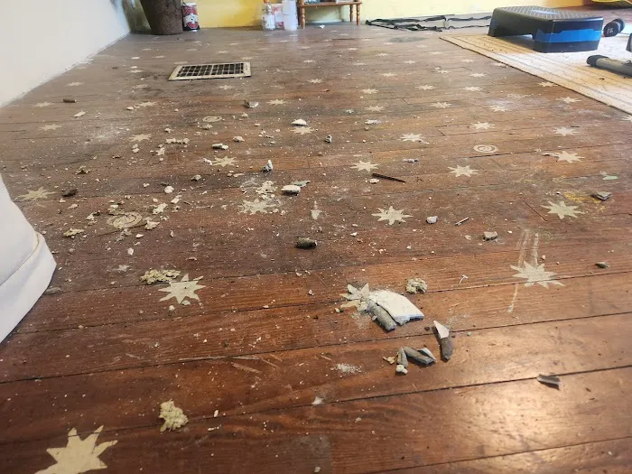 Ultimate Pro Wildlife Removal LLC Columbus Ohio Picture 7