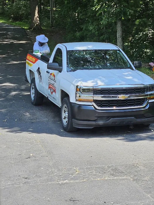 Champion Pest & Termite Control Picture 9