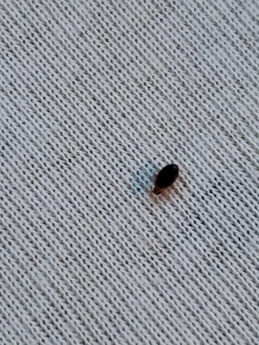 Bug Bakers of Columbus Picture 10