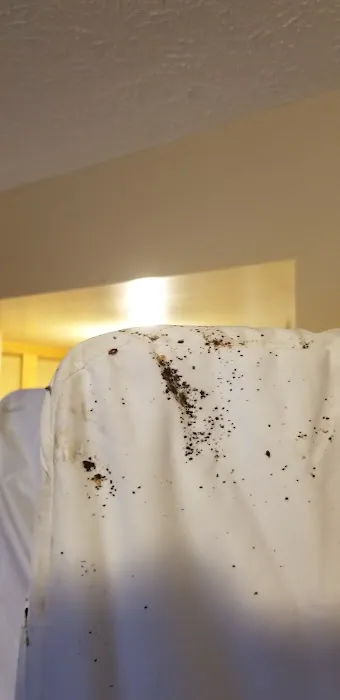 Bug Bakers of Columbus Picture 6