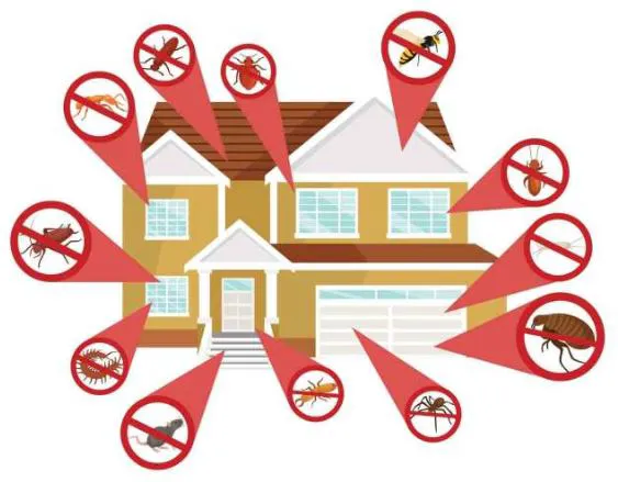 Quality Pest Control Picture 4