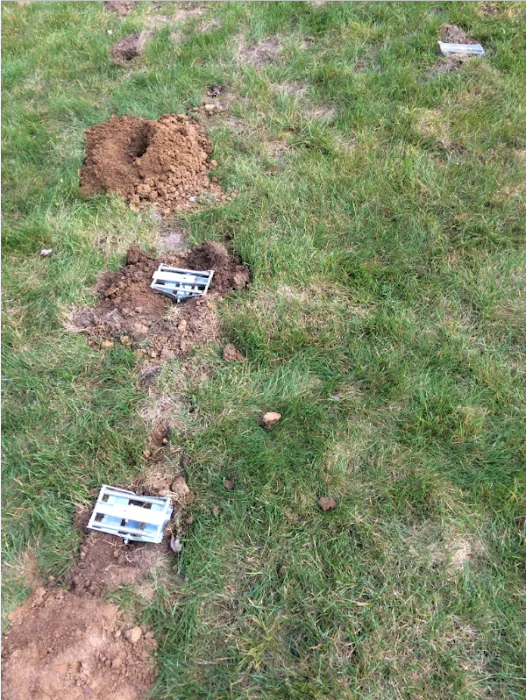 Critter Removal Ohio Picture 5