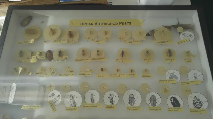 Columbus Pest Control Picture 1