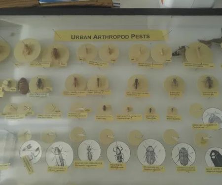 Columbus Pest Control