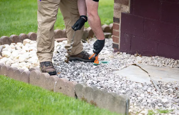 D-Bug Pest Control, Inc. Picture 6