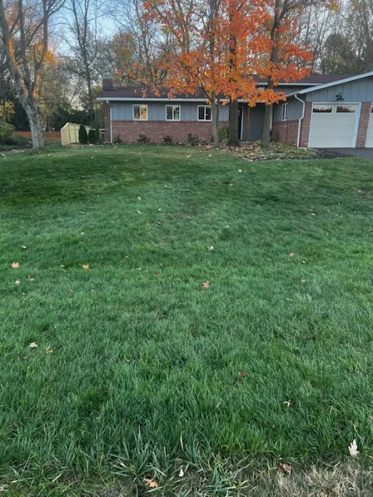 Lawn Doctor of Greater Columbus Picture 2