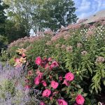 Lawn Doctor of Greater Columbus