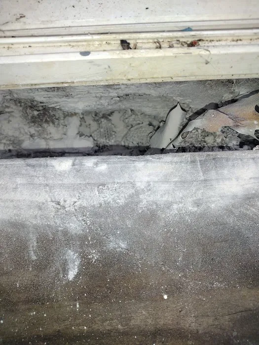 Greenix Pest Control Picture 2
