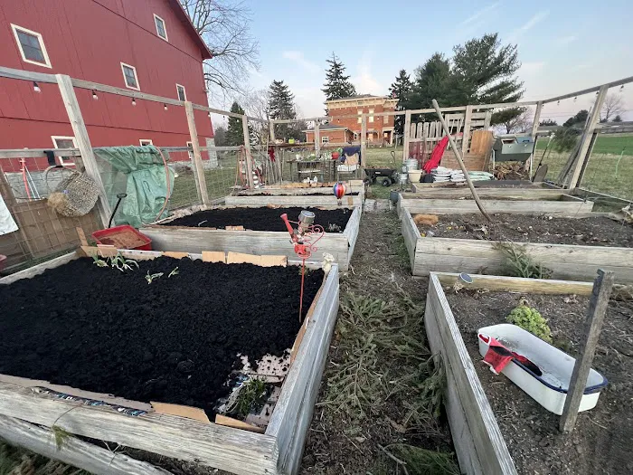 Greenix Pest Control Picture 10