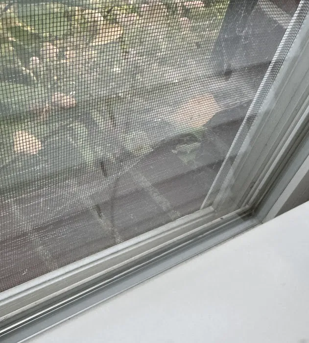 Greenix Pest Control Picture 8