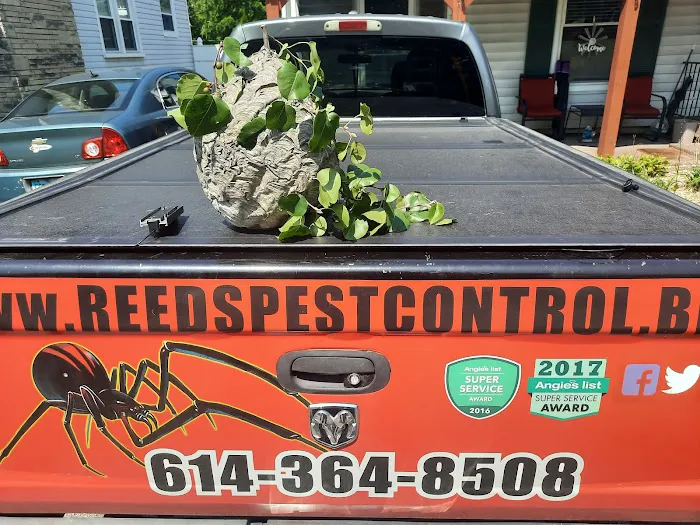 Reed's Pest Control Picture 5