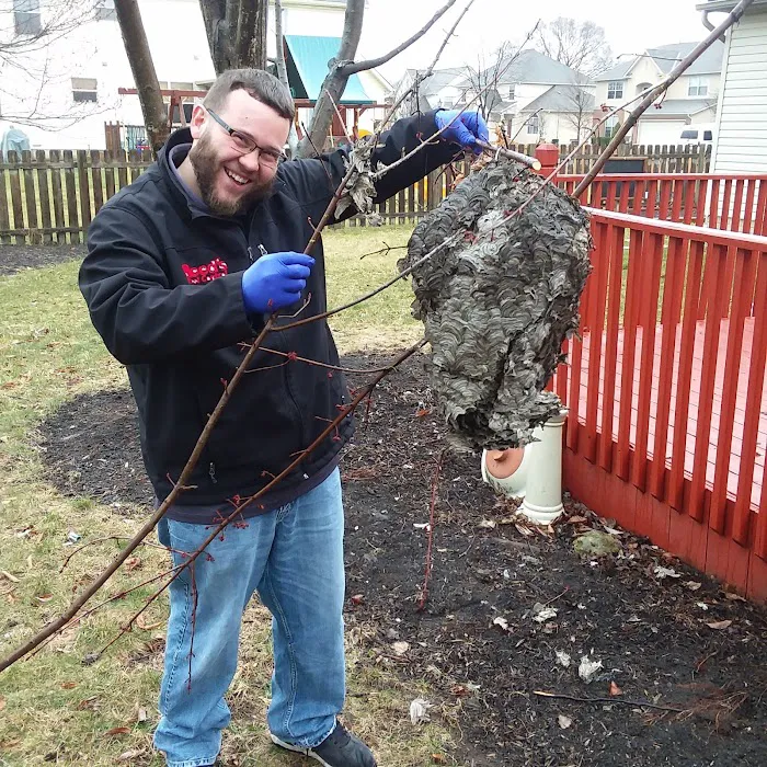 Reed's Pest Control Picture 9