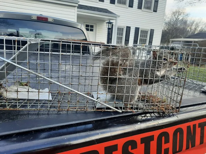 Reed's Pest Control Picture 1