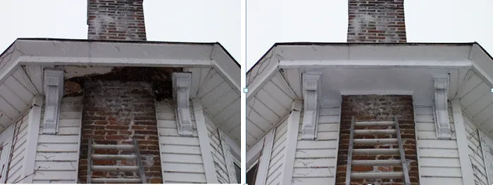 Critter Control of Columbus Picture 8